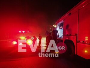 Εύβοια-Πυρκαγιά σε αποθήκη στο Γυμνό – Ισχυρές δυνάμεις της ΠΥ έσβησαν την πυρκαγιά