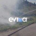 Εύβοια: Πυρκαγιά στην Ερέτρια πίσω από το Αρχαίο Θέατρο (Φωτό)
