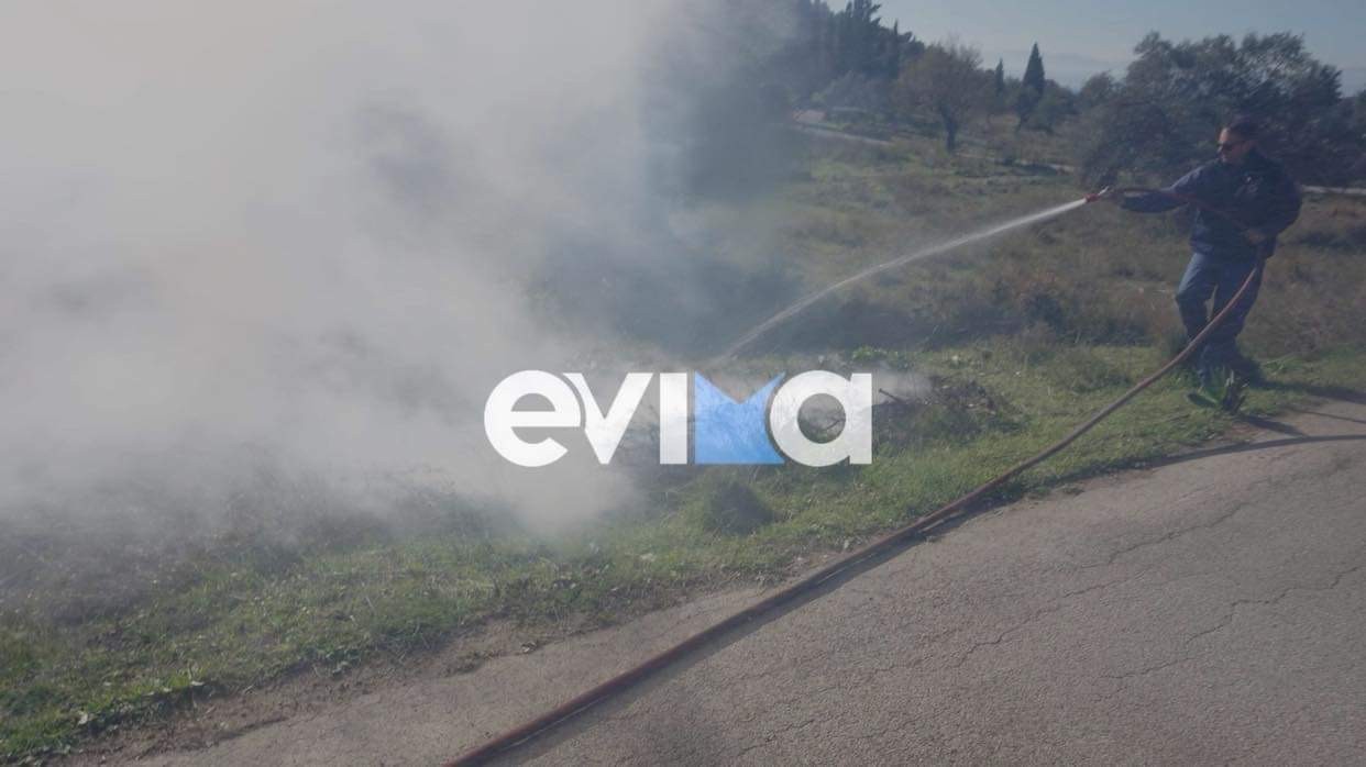 Εύβοια: Πυρκαγιά στην Ερέτρια πίσω από το Αρχαίο Θέατρο (Φωτό)