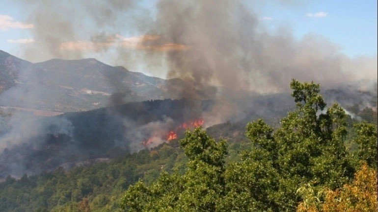 Πυροσβεστική: 12 δασικές πυρκαγιές το τελευταίο 24ωρο (01/12/2021)