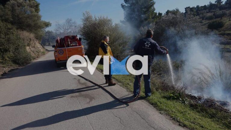 Εύβοια: Πυρκαγιά στην Ερέτρια πίσω από το Αρχαίο Θέατρο (Φωτό)