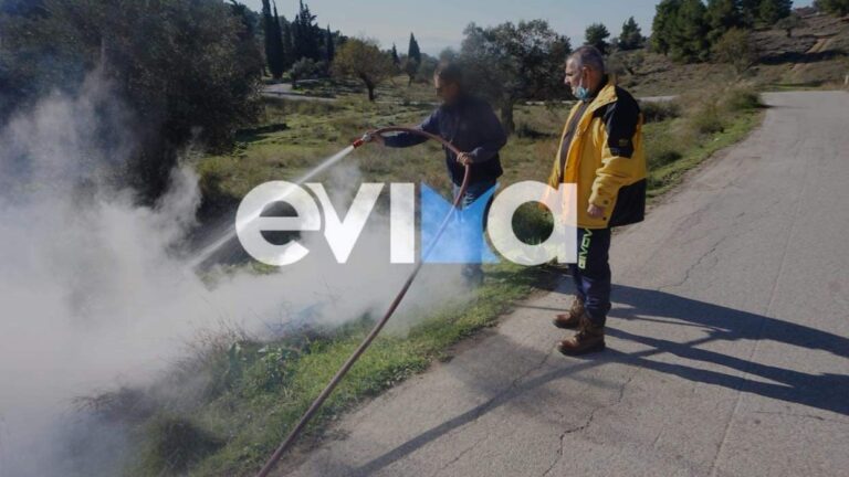 Εύβοια: Πυρκαγιά στην Ερέτρια πίσω από το Αρχαίο Θέατρο (Φωτό)