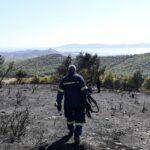Σκρέκας: Προχωρούν άμεσα οι καθαρισμοί και τα αντιπυρικά έργα των δασών