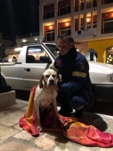 Πυροσβέστης φροντίζει τυφλό αδέσποτο σκύλο παραμονή Χριστουγέννων στήν Ζάκυνθο.