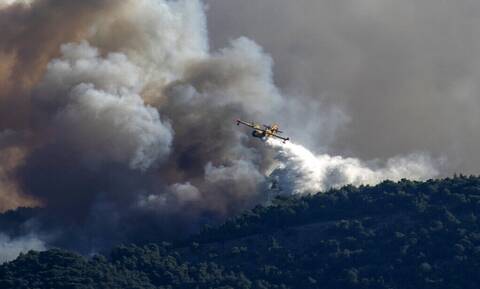 Τέσσερις μήνες μετά – Πτήση πάνω από τις καμένες εκτάσεις της Αττικής (Βίντεο)