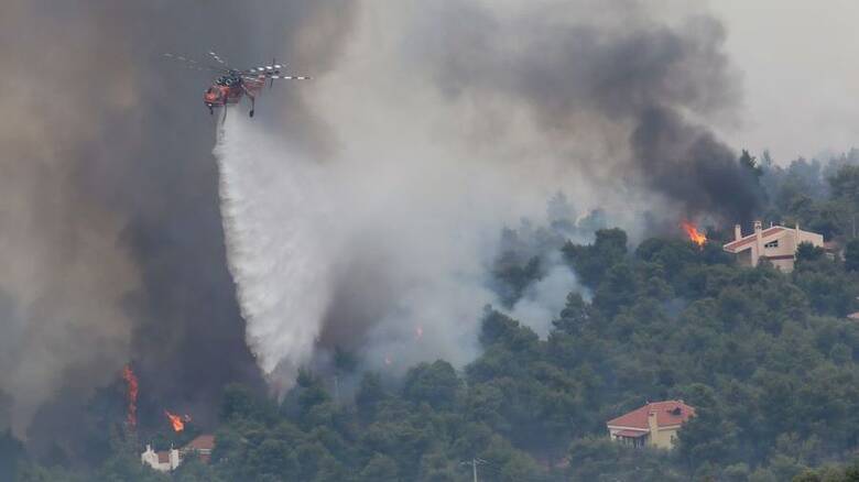Απολογισμός της Αντιπυρικής Περιόδου έτους 2021- Προτάσεις Αναδιάρθρωσης του Πυροσβεστικού Σώματος