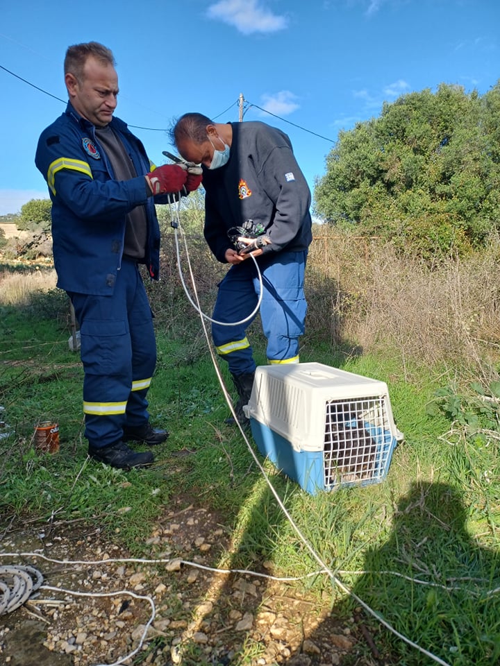 H Πυροσβεστική έσωσε τέσσερα νεογέννητα σκυλάκια στην Λευκάδα