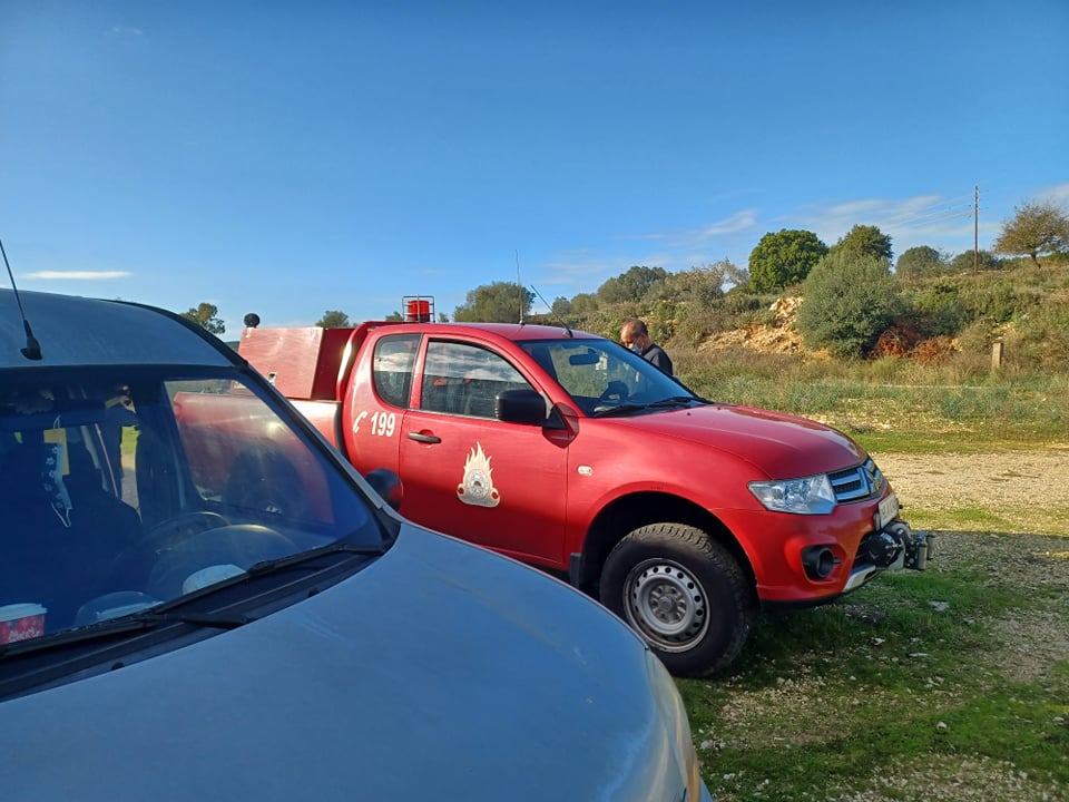 H Πυροσβεστική έσωσε τέσσερα νεογέννητα σκυλάκια στην Λευκάδα