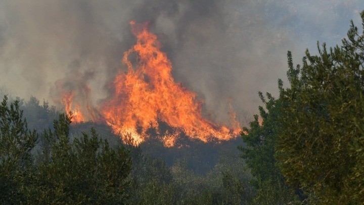 Πυρκαγιά σε δασική έκταση στις Μιανές Λακωνίας