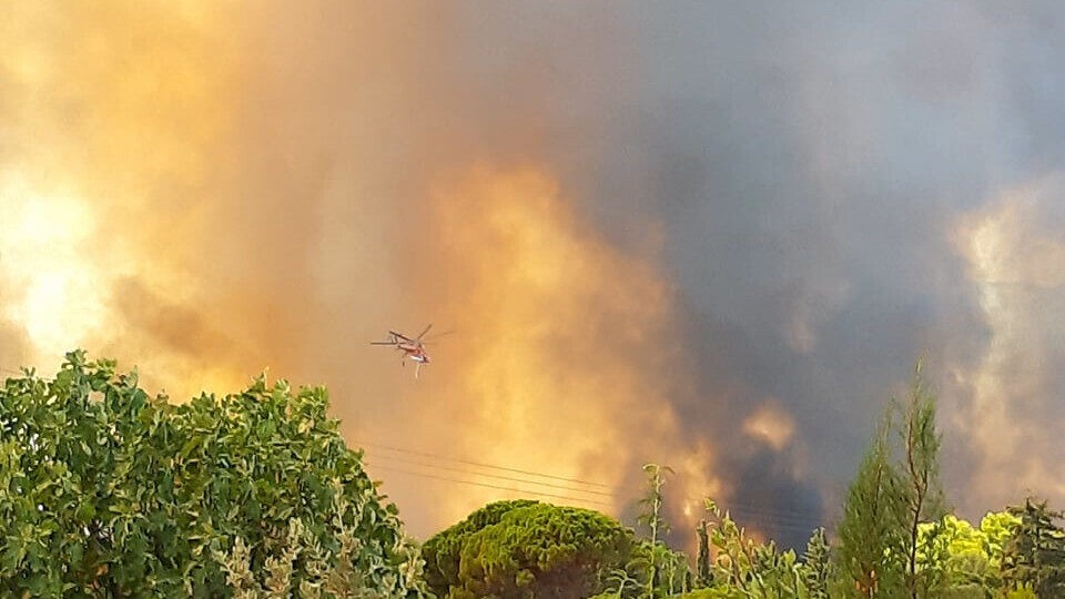Πυροσβεστική: 5 δασικές πυρκαγιές το τελευταίο 24ωρο (04/12/2022)