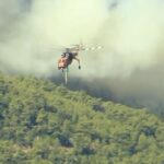 Πυροσβεστική: 9 δασικές πυρκαγιές το τελευταίο 24ωρο (05/12/2022)