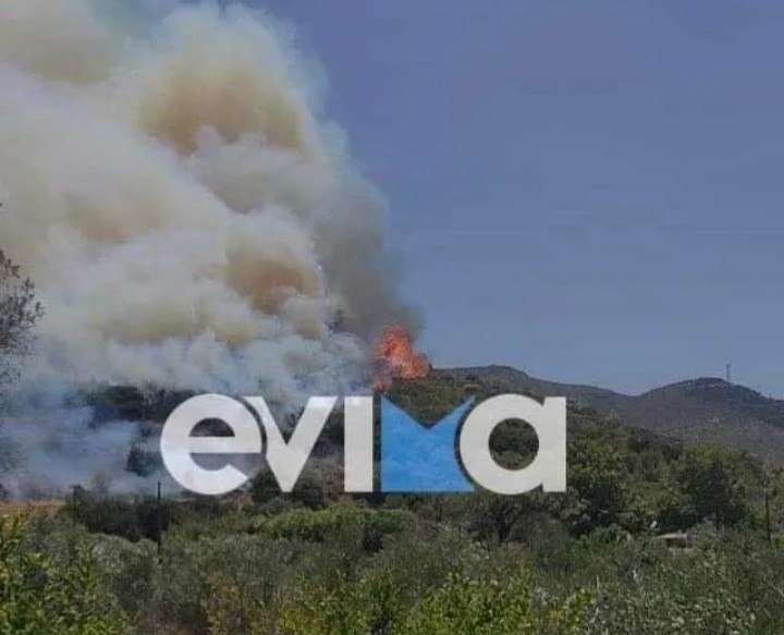 Συναγερμός στην Πυροσβεστική για πυρκαγιά στην Εύβοια