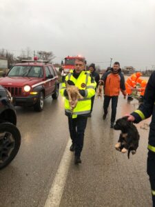 Διάσωση 4 σκυλιών στο Κατωχώρι Φαρσάλων από την πυροσβεστική και του Περιφερειάρχη Θεσσαλίας.(βίντεο)