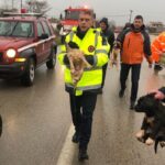 Διάσωση 4 σκυλιών στο Κατωχώρι Φαρσάλων από την πυροσβεστική και του Περιφερειάρχη Θεσσαλίας.(βίντεο)