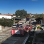 Μυτιλήνη : Πυροσβέστες πραγματοποίησαν διάσωση γάτας