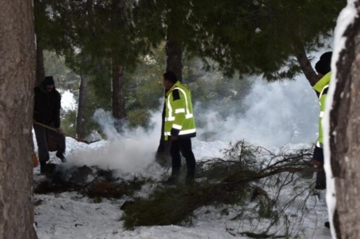 Πάρνηθα: Έβαλε φωτιά για να ζεσταθεί στο χιονισμένο δάσος!