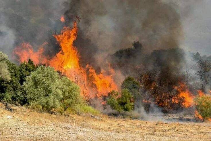Πυρκαγιά σε δασική έκταση σε εξέλιξη στο Άργος