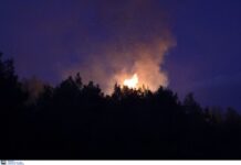 Φωτιά εκδηλώθηκε σε δασική έκταση στο Αχλαδοχώρι Σερρών
