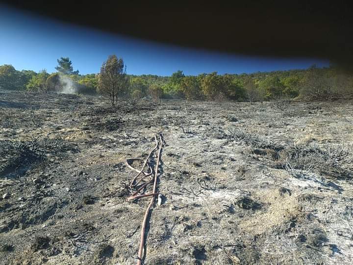Πυρκαγιά σε δασική έκταση στην Παρθένη Εύβοιας (Φωτό)