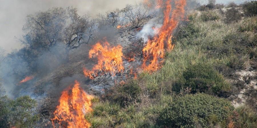 Πυροσβεστική: 14 δασικές πυρκαγιές το τελευταίο 24ωρο (05/01/2022)