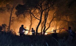 Πιθανό εμπρησμό ερευνά η Πυροσβεστική για τη φωτιά στον Μάραθο – Στάχτη έγιναν 30 στρέμματα