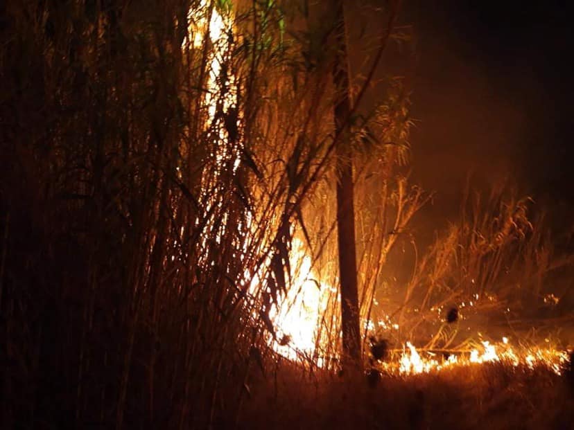 Φωτιά σε χορτολιβαδική έκταση στην Άνδρο