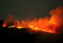 Συναγερμός στην Πυροσβεστική για δασική πυρκαγιά στα Κύθηρα