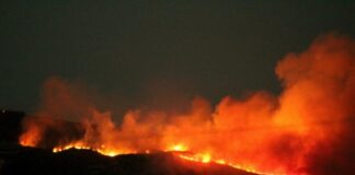 Συναγερμός στην Πυροσβεστική για δασική πυρκαγιά στα Κύθηρα