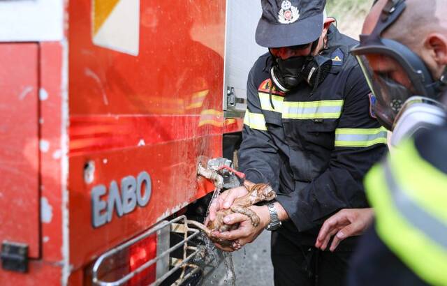 Συγκλονιστικές φωτογραφίες από την φωτιά στην Γορτυνία - Η φροντίδα του πυροσβέστη σε γατάκι