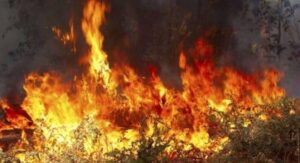 Φωτιά σε γεωργική έκταση στην Χίο