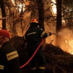 Πυροσβεστική: 9 δασικές πυρκαγιές το τελευταίο 24ωρο (17/01/22)