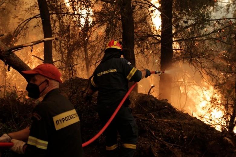 Πυροσβεστική: 9 δασικές πυρκαγιές το τελευταίο 24ωρο (17/01/22)