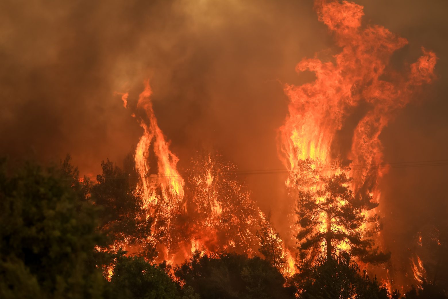 Meteo για φωτιές: Το 2021 κάηκαν στην Ελλάδα τόσα στρέμματα όσα την τελευταία οχταετία