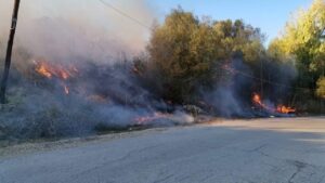 Φωτιά με 2 εστίες σε πρανές σημείο στην Μεταμόρφωση Αττικής