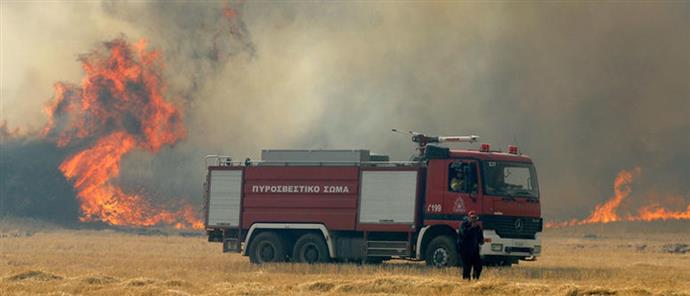Φωτιά σε χορτολιβαδική έκταση στην Καρδίτσα