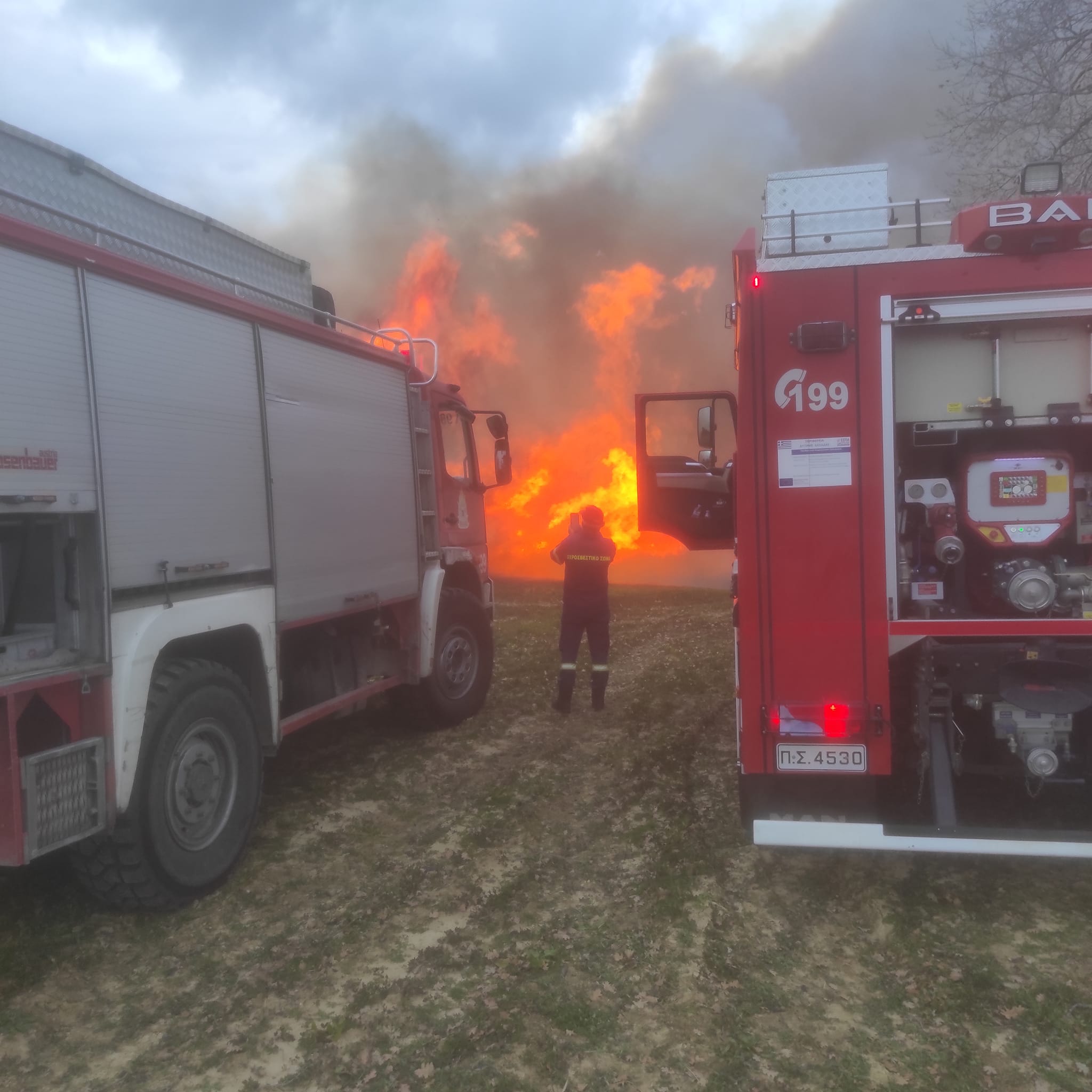 Η πυρκαγιά στην Σίμιζα Ηλείας έκαψε περίπου 40 στρέμματα αγροτοδασική έκταση (Φωτό)