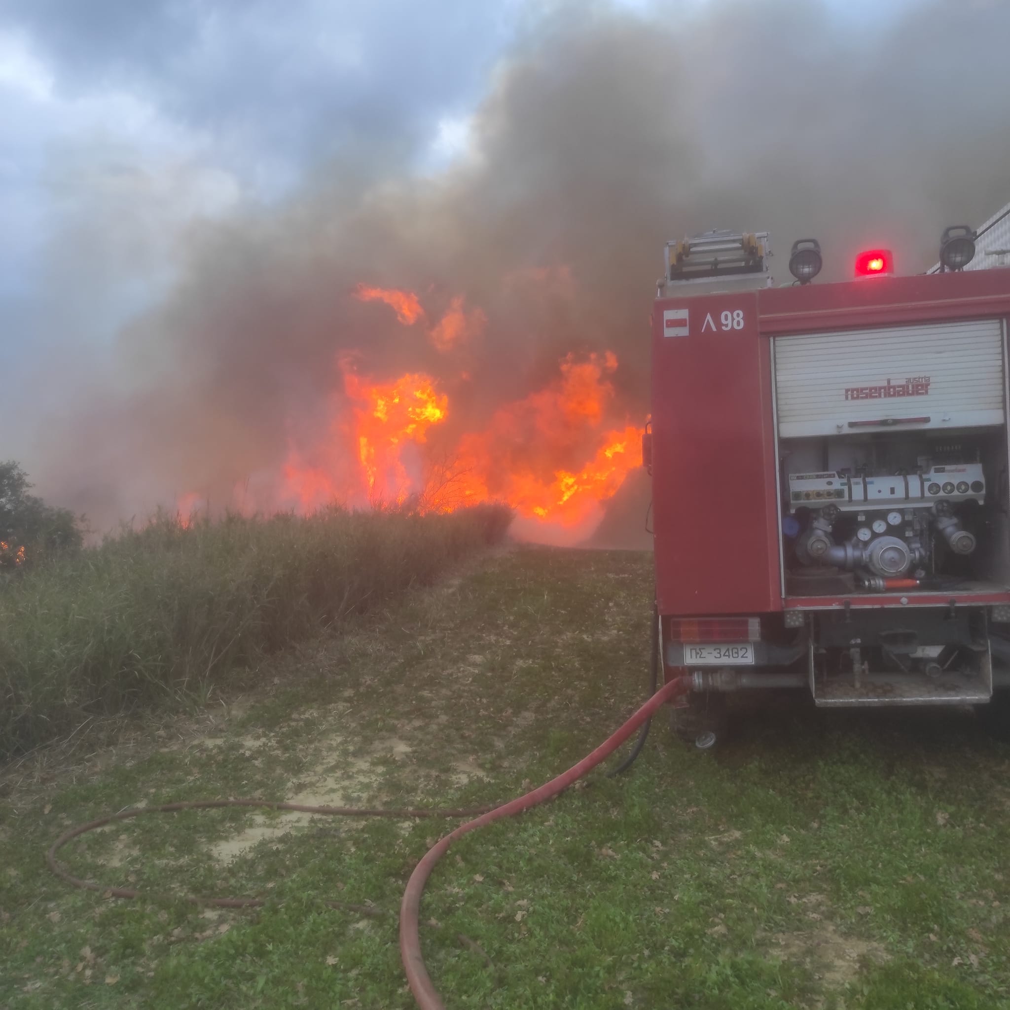 Η πυρκαγιά στην Σίμιζα Ηλείας έκαψε περίπου 40 στρέμματα αγροτοδασική έκταση (Φωτό)