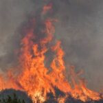 Πυρκαγιά σε δασική έκταση στο Πάσιο Κορινθίας