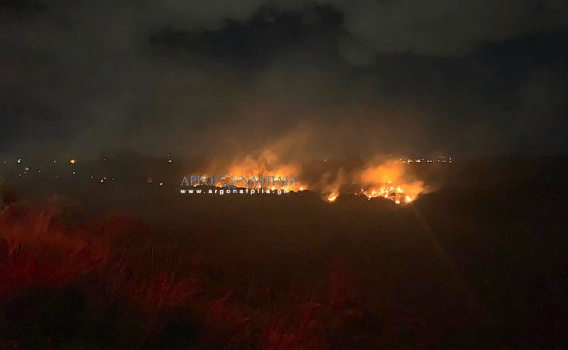 Πυρκαγιά σε έκταση με καλάμια στην Νέας Κίου Άργους