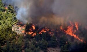 Φωτιά σε δασική έκταση στο Γεράκι Λακωνίας