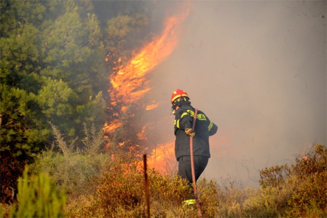 Πυρκαγιά σε αγροτοδασική έκταση στην περιοχή του Αμαριανού Αργολίδας
