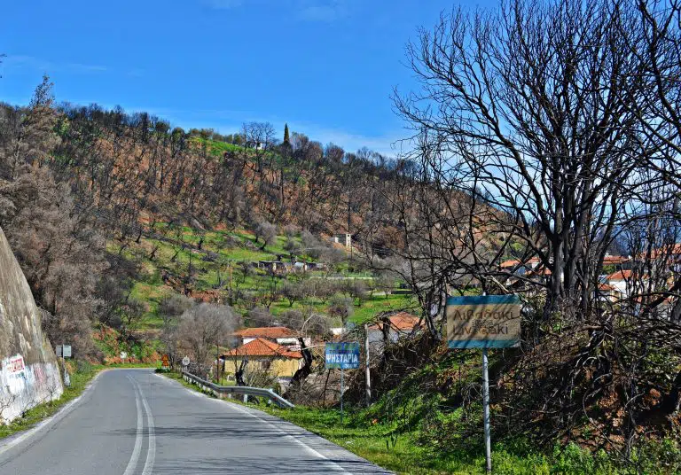 Η γιαγιά απο τη Γορτυνία που συγκίνησε έναν πυροσβέστη!