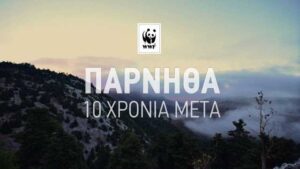 Πάρνηθα 13 χρόνια μετά την πυρκαγιά: Ντοκιμαντέρ του WWF Ελλάς