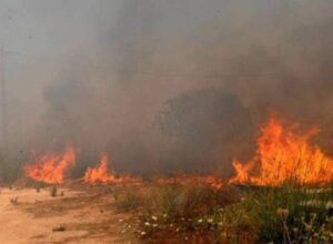 Φωτιά σε ξερά χόρτα στο Χιλιομόδι Κορινθίας