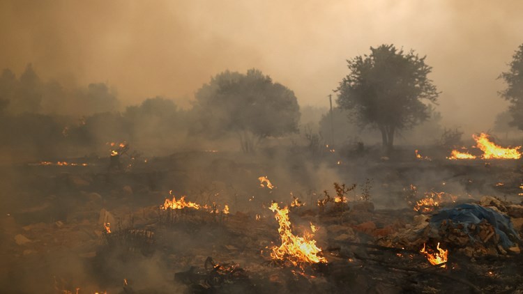 Πυρκαγιά στον υδροβιότοπο του Κολοβρέχτη στα Ψαχνά Ευβοίας (Βίντεο)