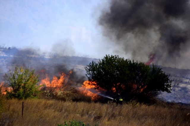 Πυρκαγιά σε δασική έκταση στην Σπάρτη