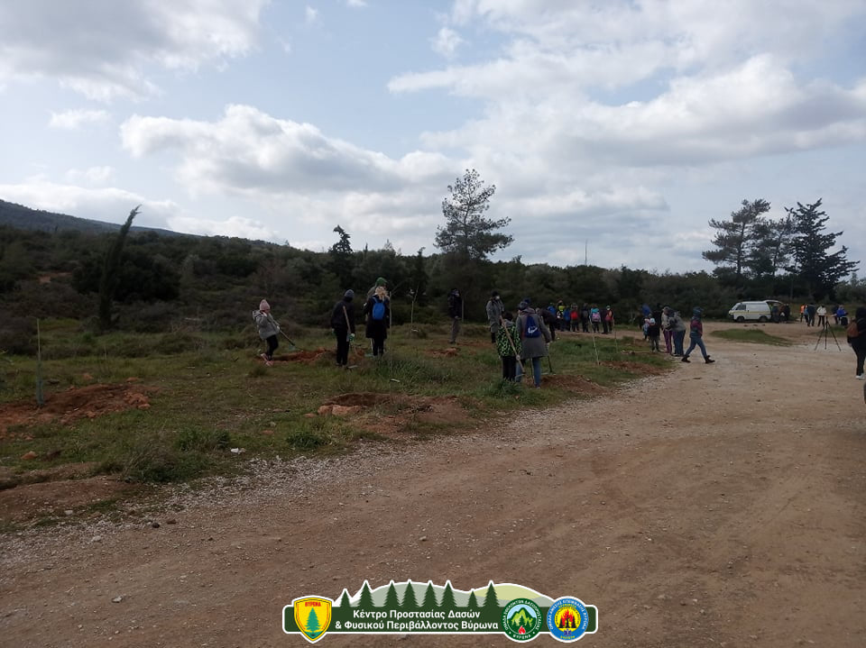 Το ΚΠΔΦΠ Βύρωνα συμμετείχε στην δεντροφύτευση του Δήμου Παπάγου – Χολαργού