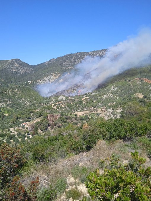 Μεγάλη πυρκαγιά σε δασική έκταση στο Τσαπί Μεσσηνίας (Φωτό)