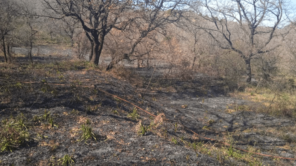 Πυρκαγιά σε χαμηλή βλάστηση στα Δουναίικα Αιτωλοακαρνανίας