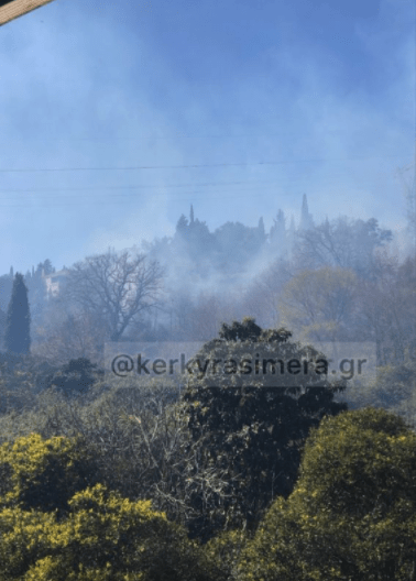 Πυρκαγιά σε δασική έκταση στον Βιρό Κέρκυρας